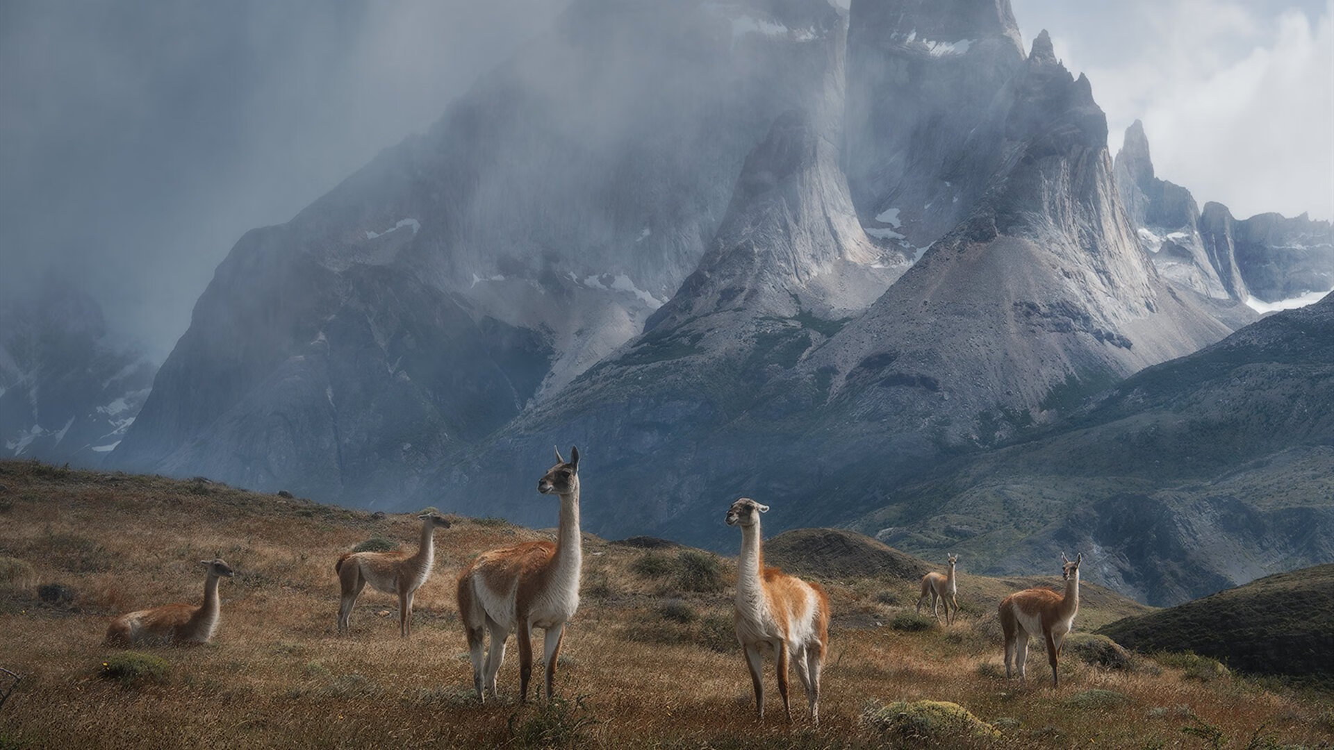 开云官网APP下载-“德甲争冠线逐步拉近,领头羊压力增大”,德甲争四