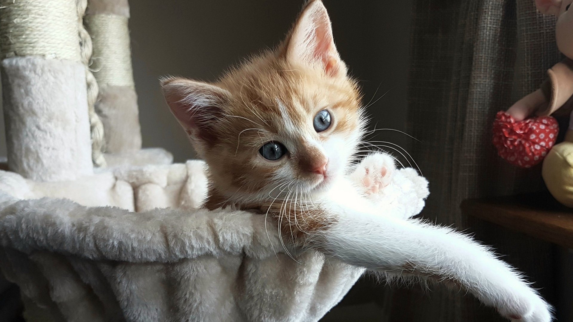 详细阅读:Kaiyun官方登录入口-“未来之星”青少年篮球素质提升培训在广州千万级投资,推动青训行业发展 Kaiyun官方登录入口-“未来之星”青少年篮球素质提升培训在广州千万级投资,推动青训行业发展