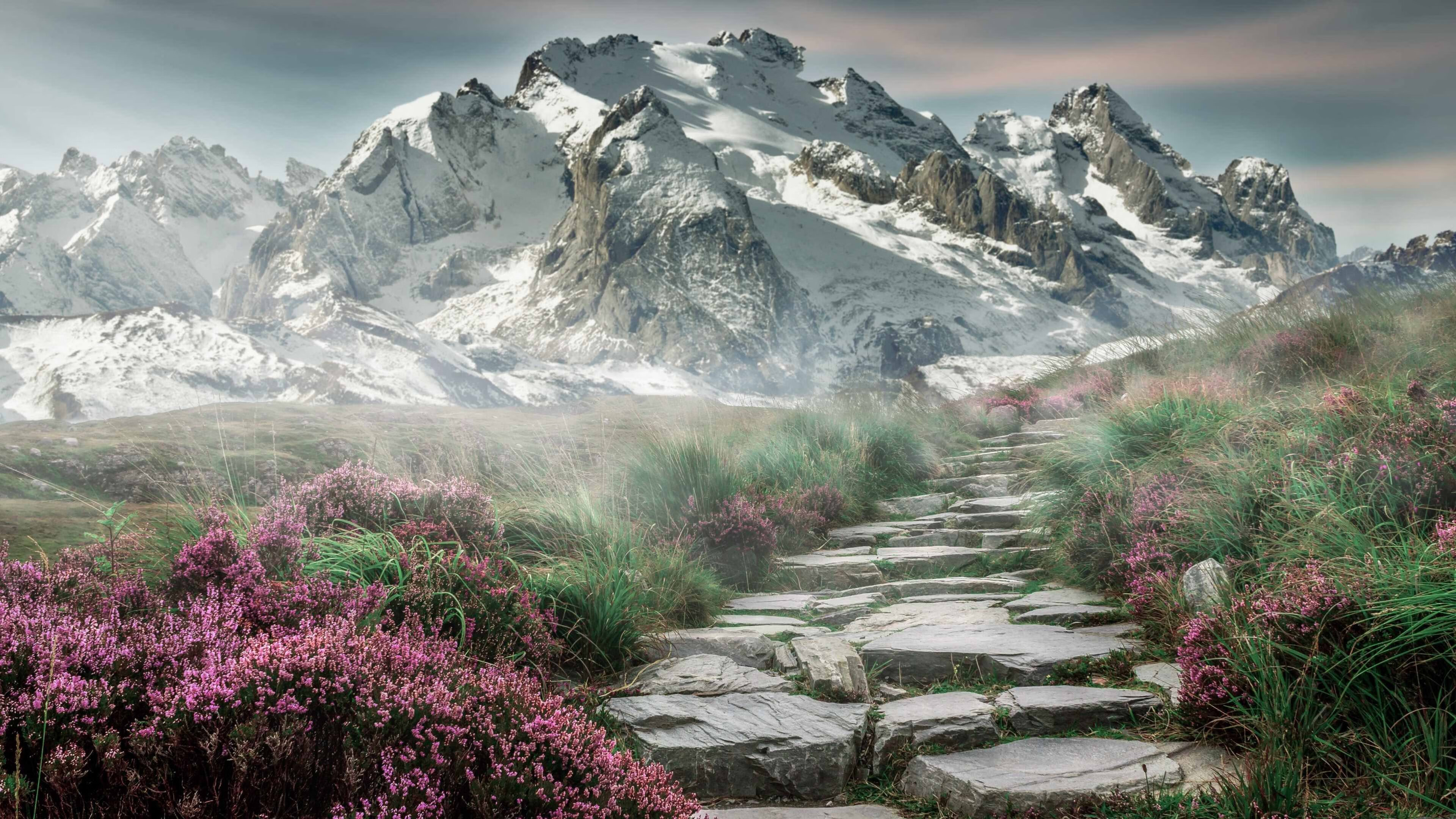 开云网页版-“法甲最后阶段，豪门拼搏保荣誉”，法甲豪门有哪些