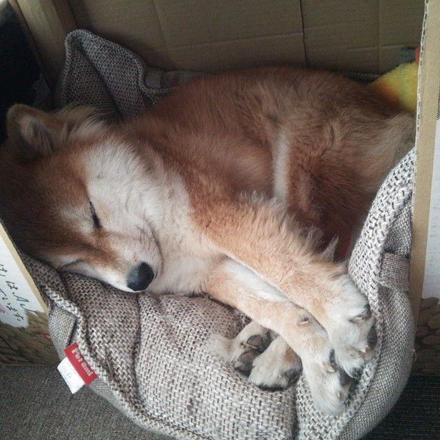 Kaiyun(中国)开云-快船大逆转勇士！，快船大逆转勇士哈登