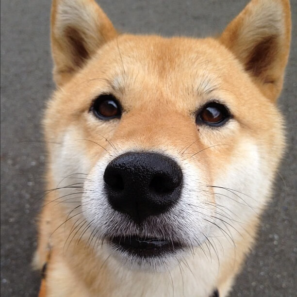 详细阅读:开云入口-意大利在国家联赛中2-1击败以色列,取得开门红。,意大利队进攻 开云入口-意大利在国家联赛中2-1击败以色列,取得开门红。,意大利队进攻