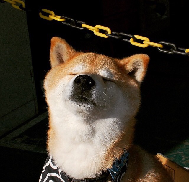 开云网页版-特色露天拔河赛,凝聚团队的运动文化,拔河户外游戏