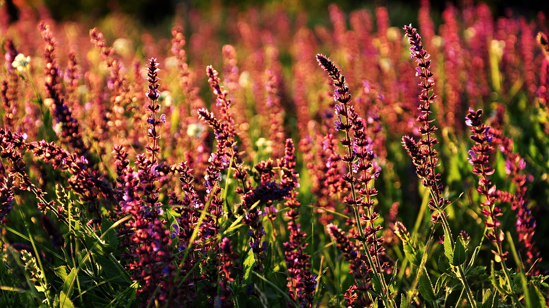 详细阅读:Kaiyun官方登录入口-青少年“篮动青春”艺术表演在上海精彩上演,融合多元文化,青少年篮球舞蹈表演 Kaiyun官方登录入口-青少年“篮动青春”艺术表演在上海精彩上演,融合多元文化,青少年篮球舞蹈表演