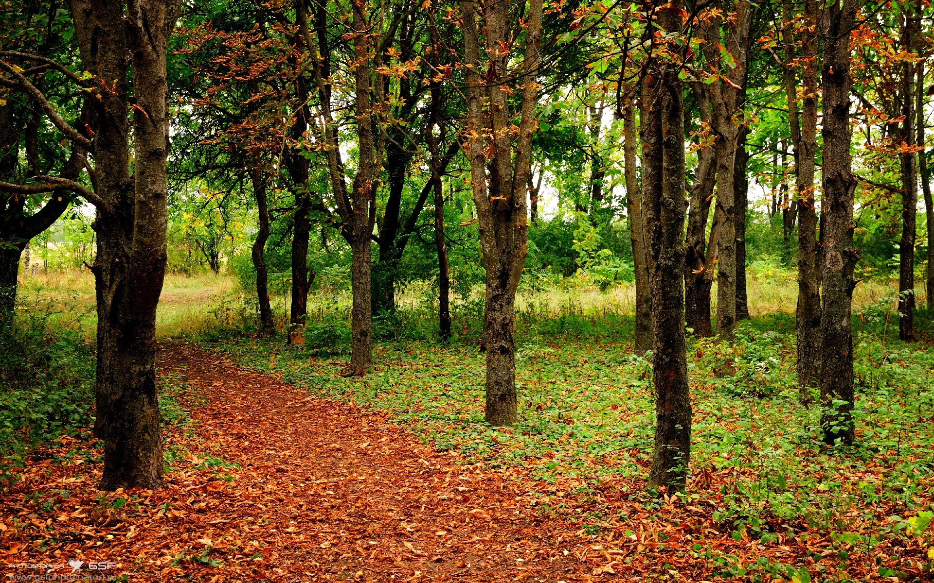 kaiyun开云·官方网站-KPL赛事与传统体育跨界合作，2021年kpl官方合作伙伴