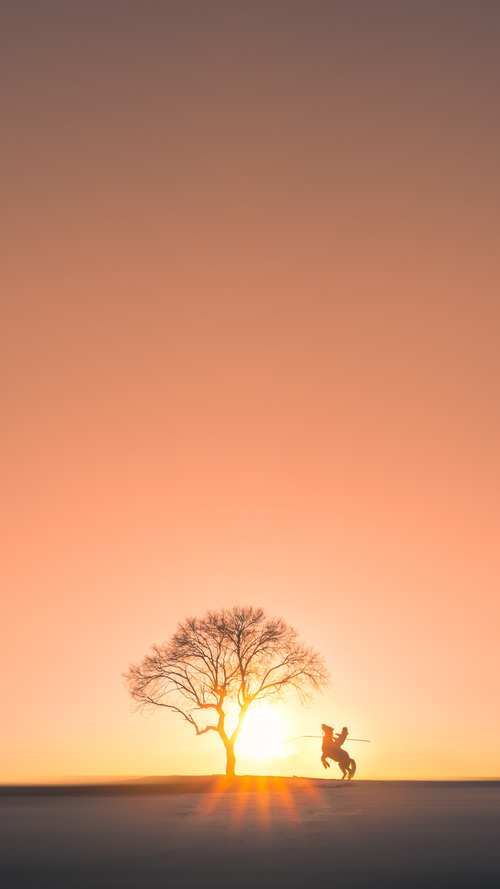 开云官网APP下载-南安普顿客场挑战曼城，力求保级关键战，南安普顿对曼城比赛结果