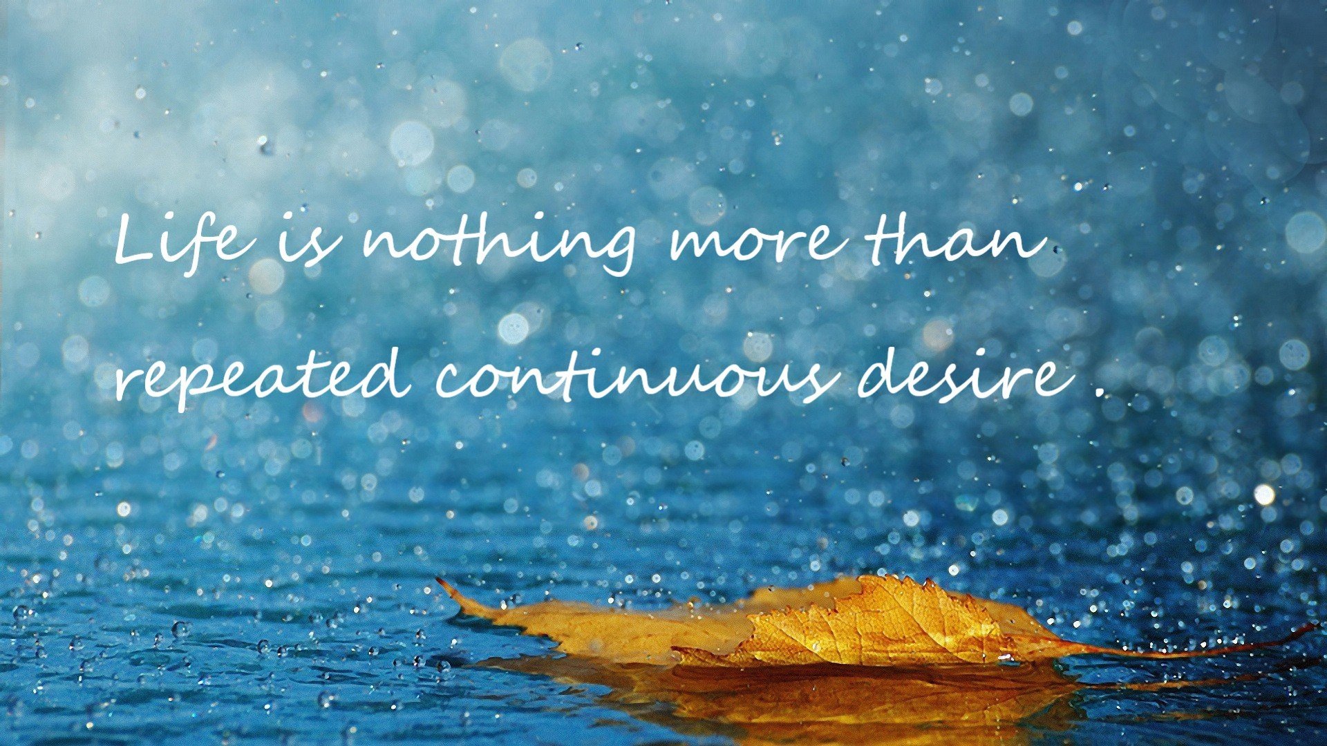 kaiyun体育app-巴西主帅佩雷拉:球队状态回升,目标争夺世界杯冠军,巴西队佩德罗