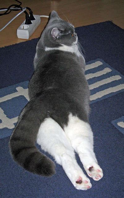 kaiyun中国官方网站-火箭再胜人，十胜九负稳坐西部榜首，火箭再胜国王集锦