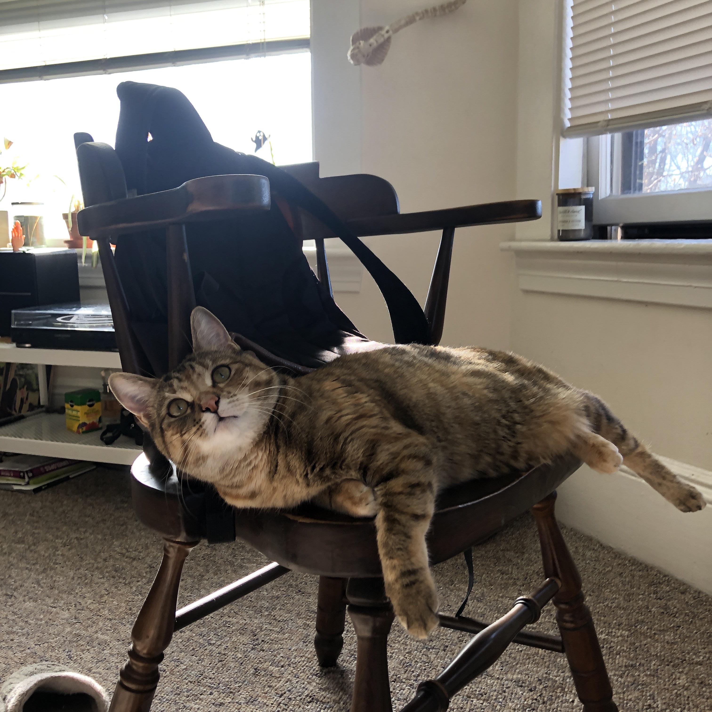 kaiyun官方入口登录-莱斯特城首轮迎战曼联，力争开门红，莱斯特城vs曼联历史战绩