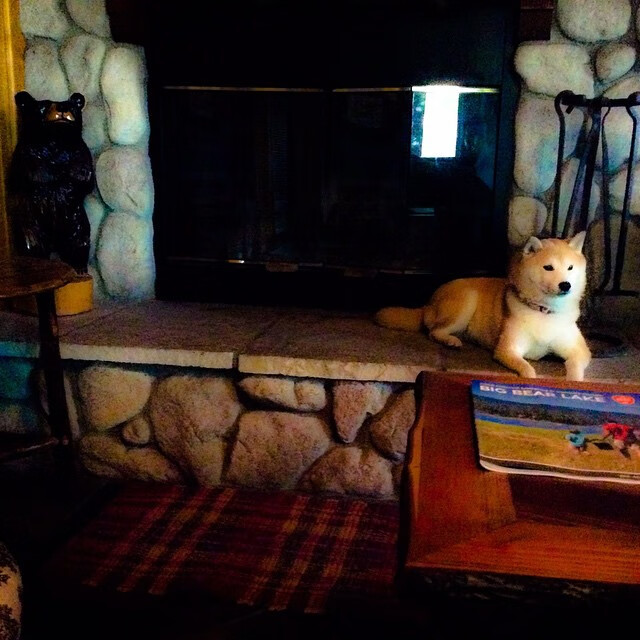 Kaiyun(中国)开云-国务院办公厅印发《关于以冰雪运动高质量发展激发冰雪经济活力的若干意见》，推动冰雪运动发展