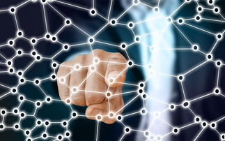 开云体育-中国足球青训梯队人员年龄层结构，足球青训年龄段