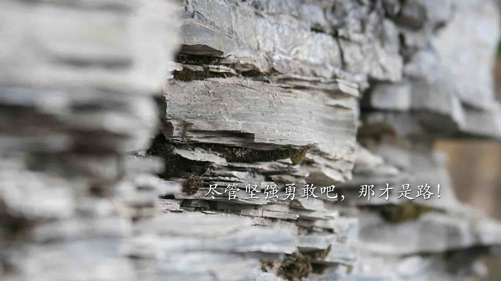 开云官方网站-高校体育赛事品牌建设策略及市场推广分析,如何打造体育赛事的品牌价值