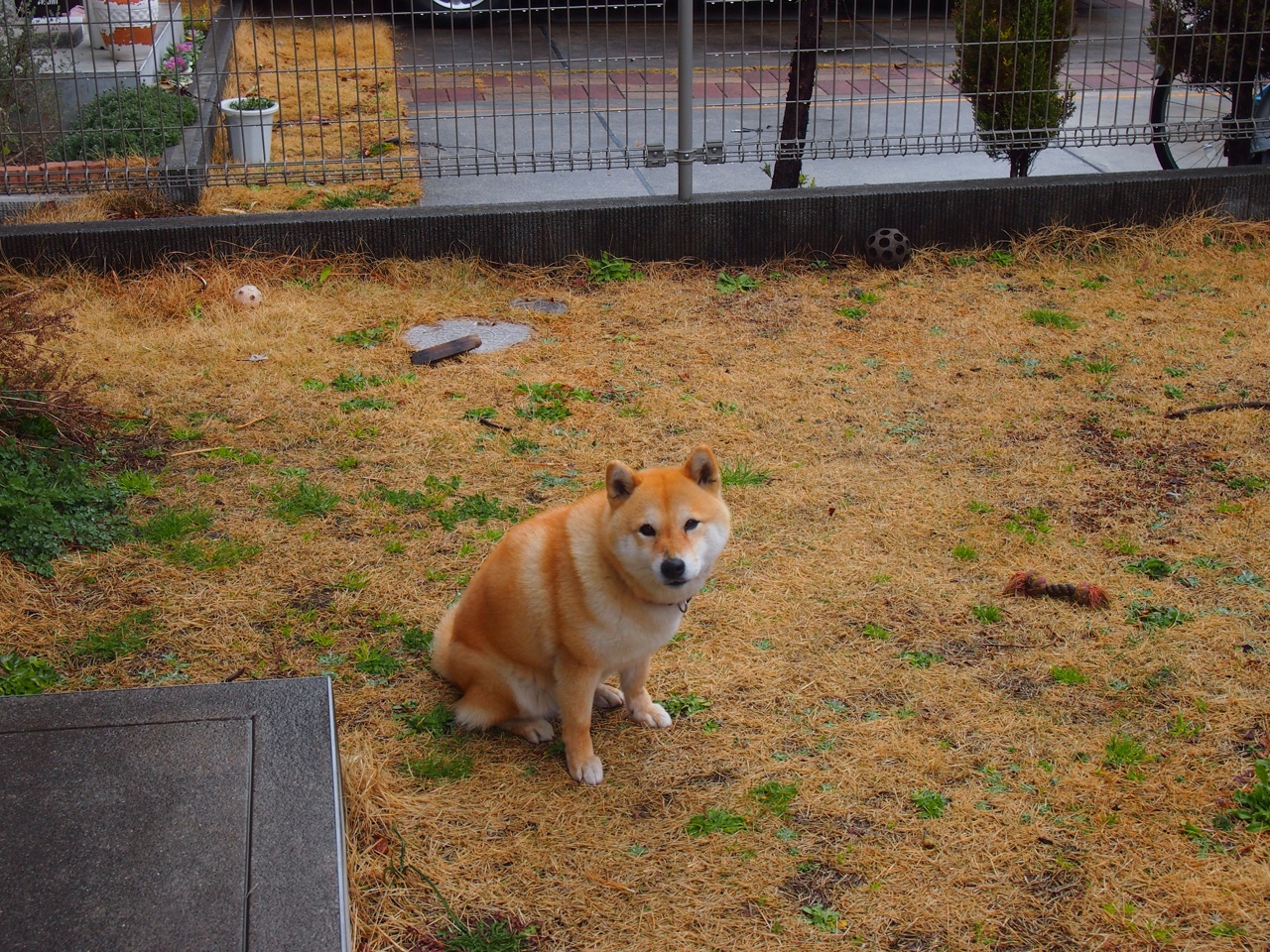 开云官方网站-中超联赛中国青年队爆冷 球迷反思青训体系,中超青年csly