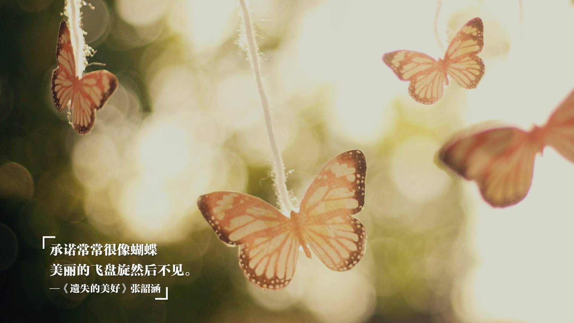 kaiyun体育综合-乌拉圭女篮在南美锦标赛中表现出色,迈向更高舞台,乌拉圭 南美