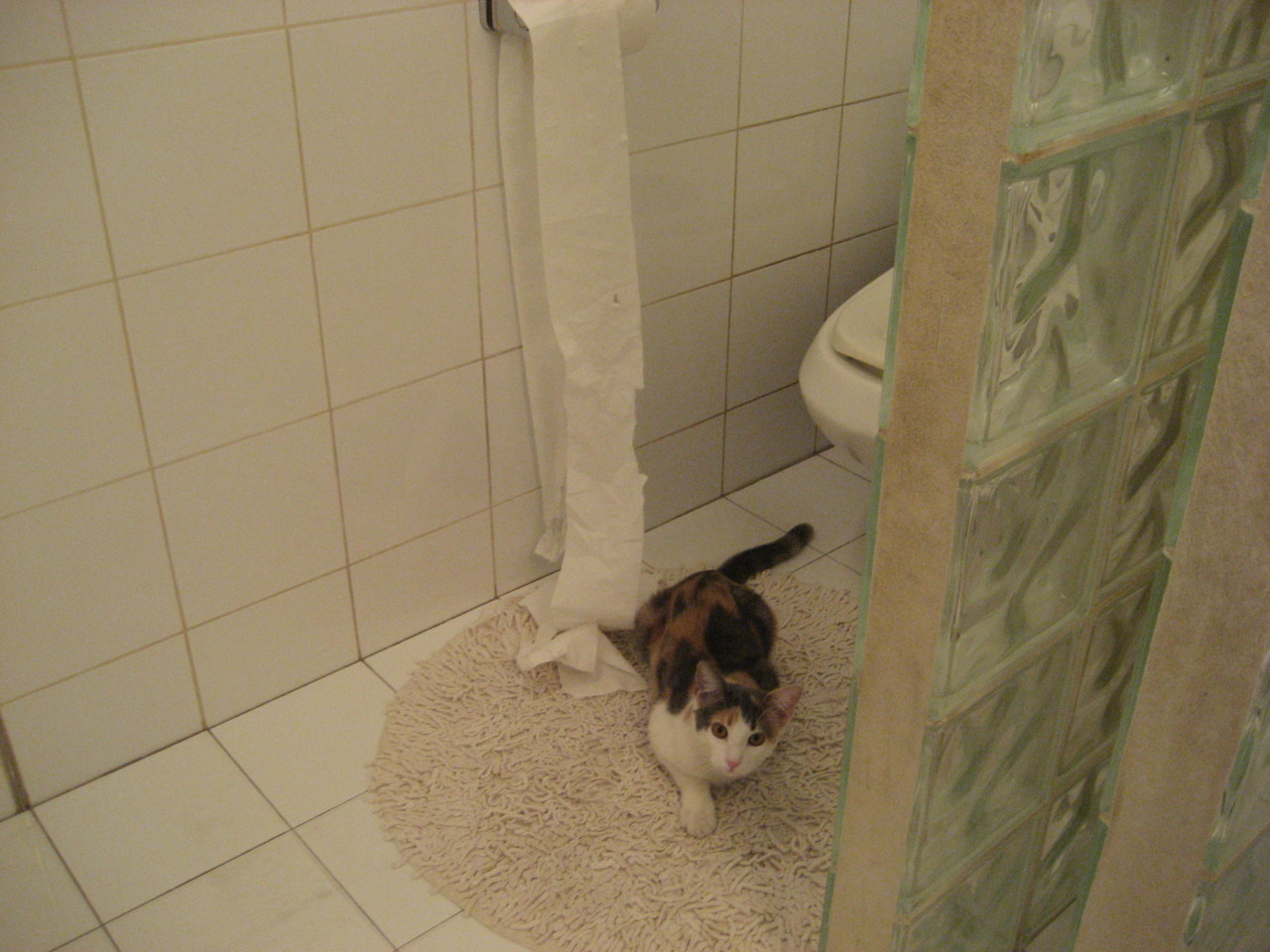 kaiyun官方入口登录-阿根廷年轻力量崭露头角，未来充满希望